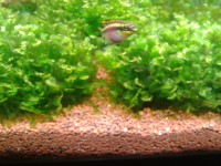 /album/fotogaleria/a2014-03-28-17-49-10-jpg/